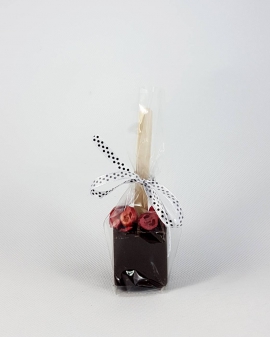 Chocostick ciemna czekolada z żurawiną